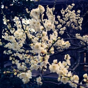 20130326 (2)